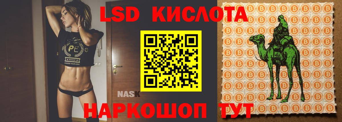 Лсд 25 экстази ecstasy  ОМГ ОМГ как зайти  ЛСД экстази ecstasy  Вышний Волочёк  Вход с VPN 