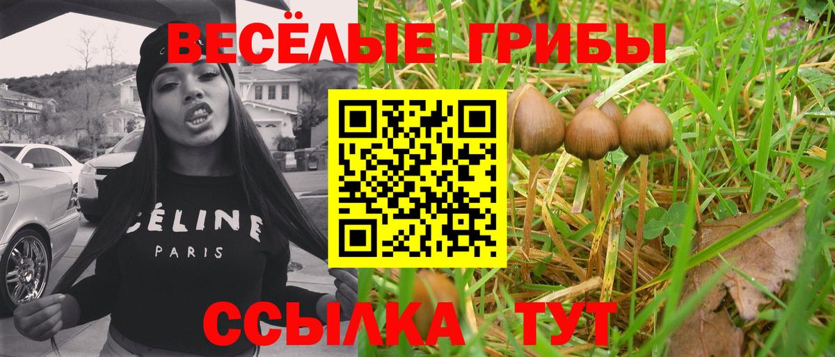 Галлюциногенные грибы мухоморы Вышний Волочёк